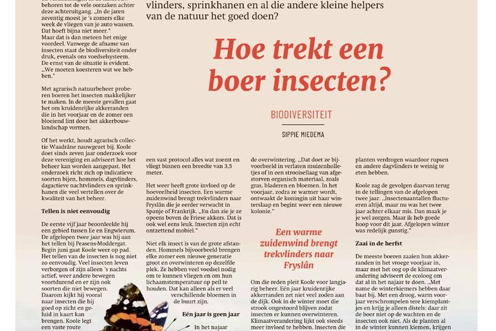Hoe trekt een boer insecten?