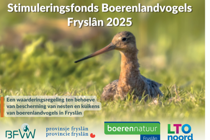 Start Stimuleringsfonds Boerenlandvogels Fryslân
