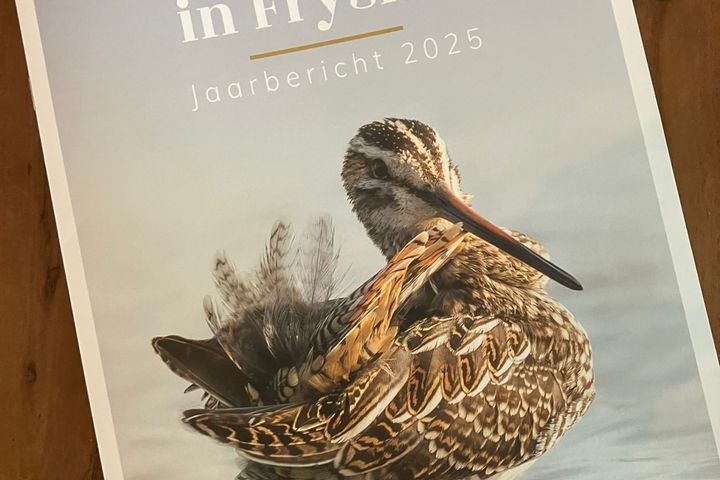 Weidevogeljaarbericht 2025