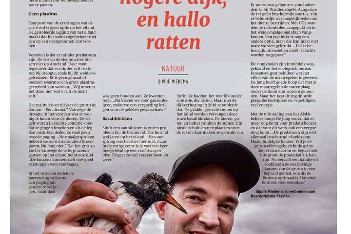 Hallo hogere dijk, en hallo ratten