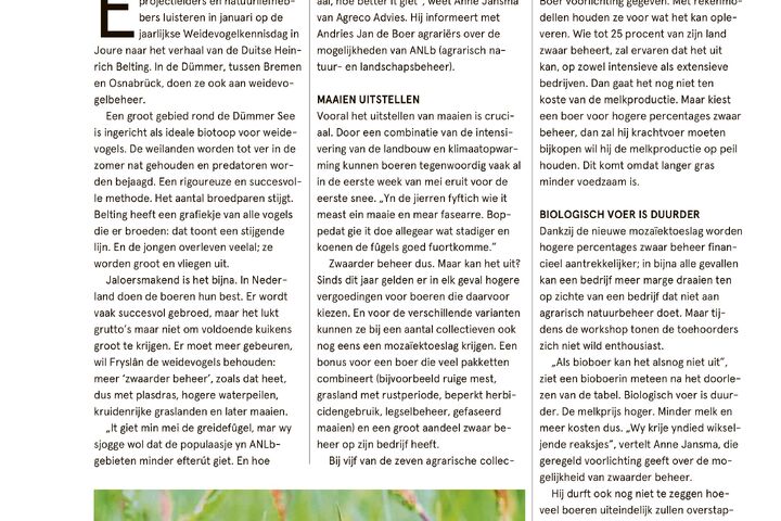 Zwaar beheer, durf het maar eens