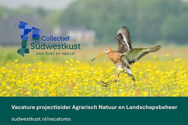 Vacature Súdwestkust