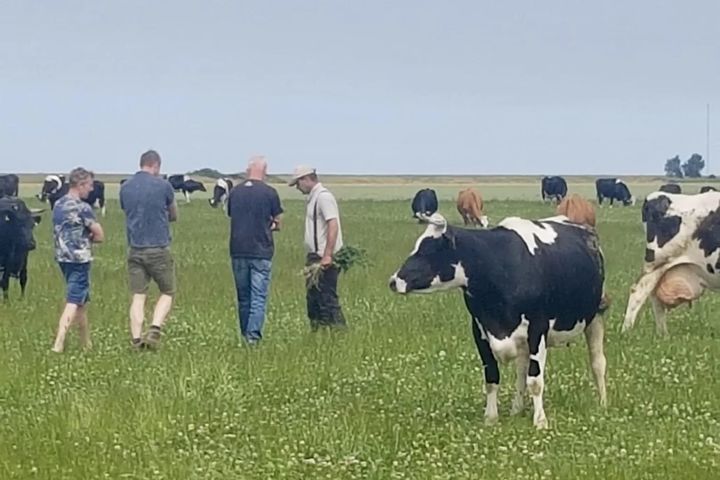 Studiegroep op excursie naar biologisch bedrijf Wadden Max