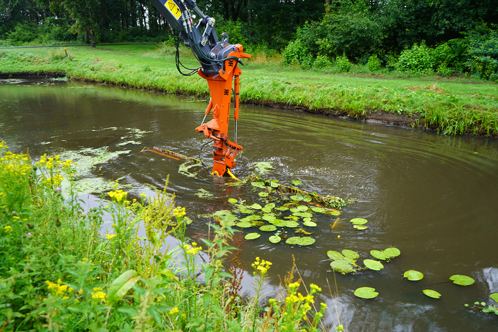 Biodiversiteit in en rondom de sloot