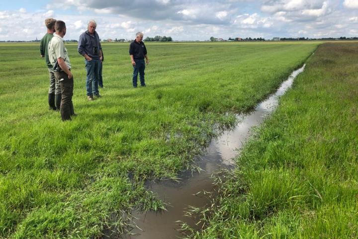 Langere beheerscontracten voor weidevogelgebieden