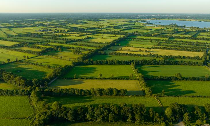 Groenblauwe dooradering