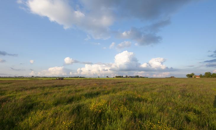 Omgaan met afbouw derogatie