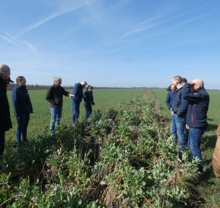 Bloemenblok middenin het perceel